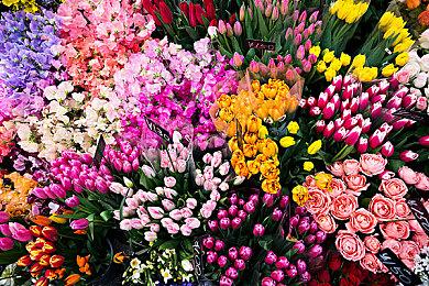 《Expedition: Into Darkness》Steam页面开放 发售日待定