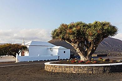 最佳PS4模拟器shadPS4 0.3.0版推出